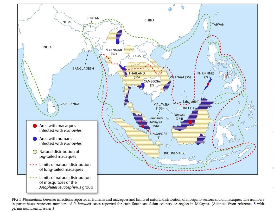 ramani ya malaysia malaria