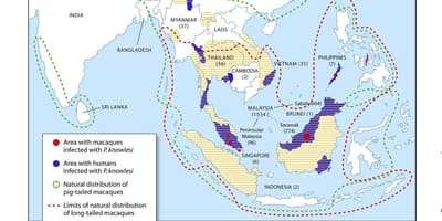Ramani ya malaysia malaria